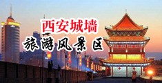 骚阴蒂透逼逼乱欲玩啊啊啊中国陕西-西安城墙旅游风景区